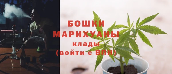 индика Белоозёрский