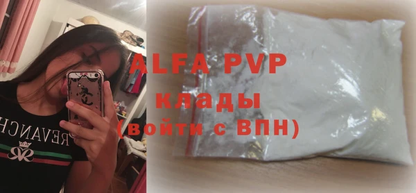 индика Белоозёрский