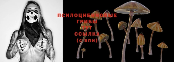 индика Белоозёрский