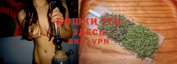 индика Белоозёрский