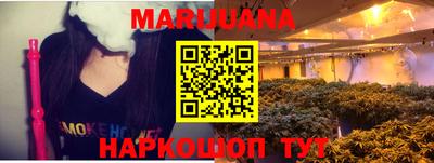 гашик Кунгур