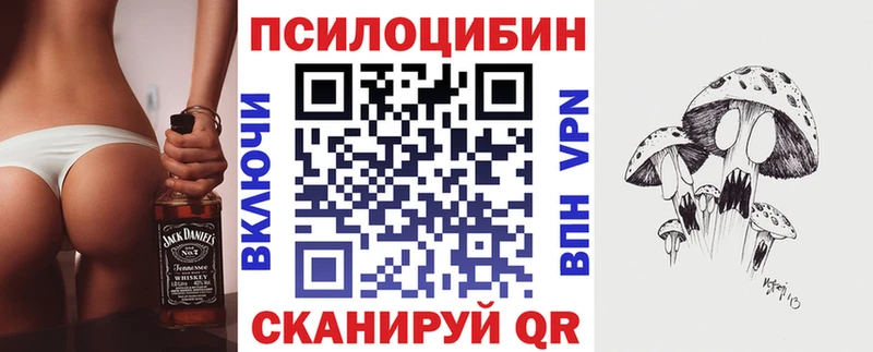 Галлюциногенные грибы мицелий  дарнет шоп  Гатчина 