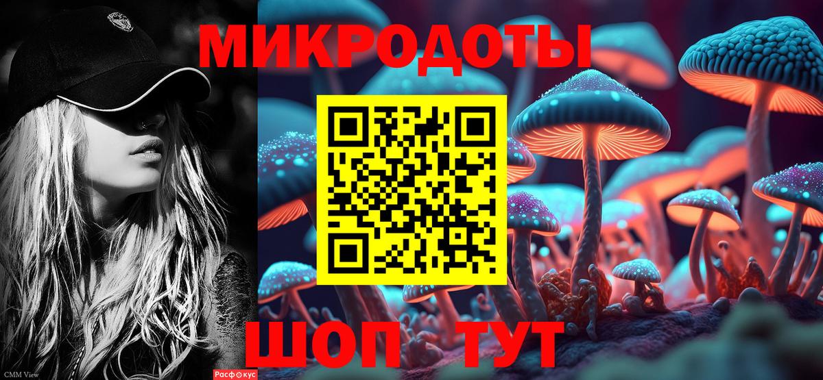 Гатчина  Вход с VPN  Codein  Мефедрон   Каннабис  ГАШ 