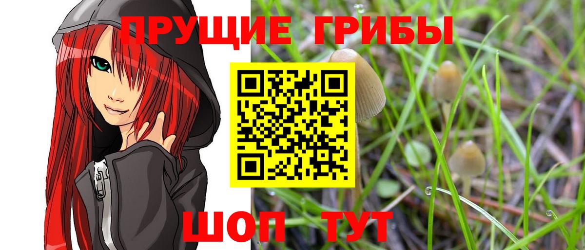 Гатчина  Псилоцибиновые грибы Magic Shrooms  Псилоцибиновые грибы MAGIC MUSHROOMS  Вход с VPN 